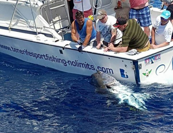 TENERIFE FISHING
