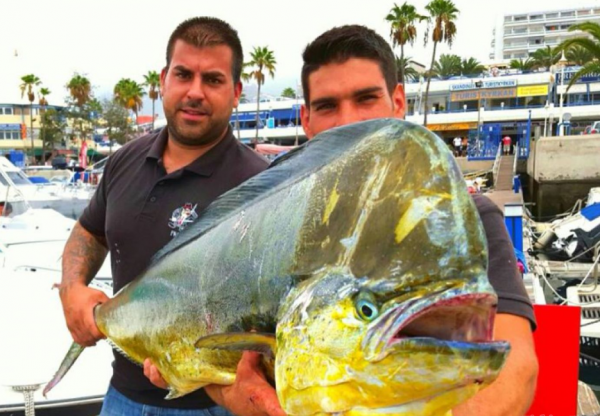 TENERIFE FISHING THE RODFATHER